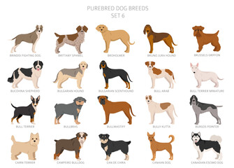 Collection of all dog breeds. Collection in 28 sets. Realistic image of dog breeds with different coat colors. Vector illustration