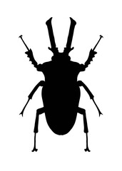 Silhouette image of stag beetle isolated on white background 