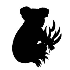Silhouette image of koala eating eucalyptus leaves
