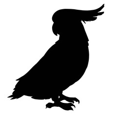 Silhouette image of cockatoo parrot bird isolated on white 