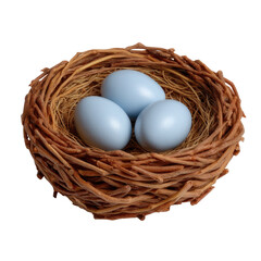 Blue Eggs in a Natural Nest Surrounded by Twigs and Grass