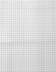 Detailed Grid Graph Paper Texture in Light Gray Patterned Background