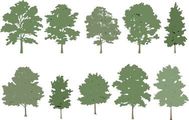 Watercolor illustration of fifteen diverse trees with muted green tones arranged in a soft horizontal row on a white background

