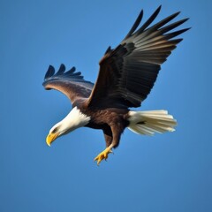 Obraz premium bald eagle isolated for background - ai generated