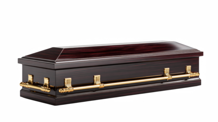 Elegant dark wooden coffin with golden handles stands out against the stark black background, conveying solemnity and respect.