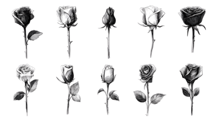 Black and white collection of rose icons in sketch style each one showing a different single long stemmed rose symbolic of love, vector illustration on white