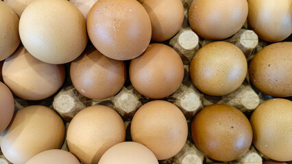 High-quality photo of farm-fresh eggs in perfect lighting, isolated for a professional look. This image is ideal for food industries, marketing materials, or organic product showcases.