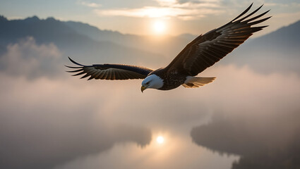 Fototapeta premium A bald eagle soars over misty waters at sunrise with mountains in the distant background