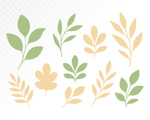 Floral set with delicate yellow and green leaves, soft pastel flowers, and natural botanical composition for invitations and cards. Vector illustration.