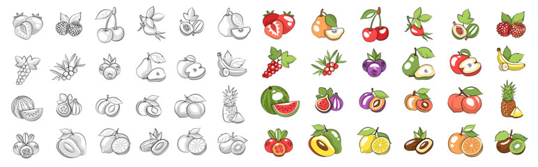 Big Set of Hand-Drawn Fruit Icons and Logo in Outline and Flat Style. Vector Illustrations