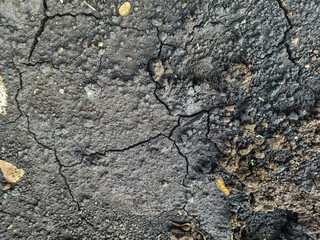 Cracks in the ground surface visible from above.
