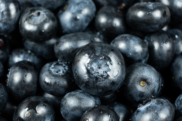 Macro Texture of Fresh Blueberries Close-Up.