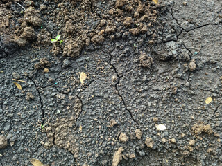 Cracks in the ground surface visible from above.