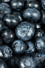 Vertical berry background of fresh blueberries with water droplets