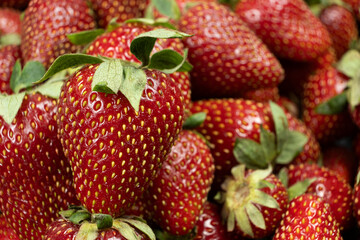 Ripe Strawberries Close-Up. Summer Fruit Pattern for Advertisement.