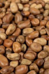 Whole dried raw uncooked vicia faba beans macro