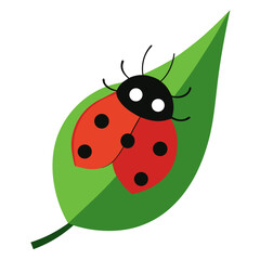 Obraz premium Cute ladybug with spots on a green leaf