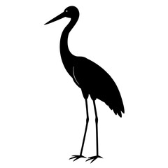 Silhouette of a tall stork standing gracefully bird
