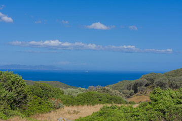 A wide-angle landscape captures rolling hills covered in dry golden grass and sparse green vegetation under a clear, vast blue sky, with the distant sea visible on the horizon.