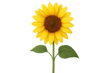 Fototapeta premium Bright sunflower blossoming, golden petals spreading, green foliage framing luminous flower head against clean transparent backdrop