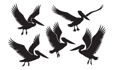 Obraz premium Collection of pelican flying silhouettes