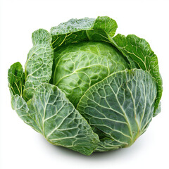 Obraz premium Fresh green cabbage with cut in half isolated on white background