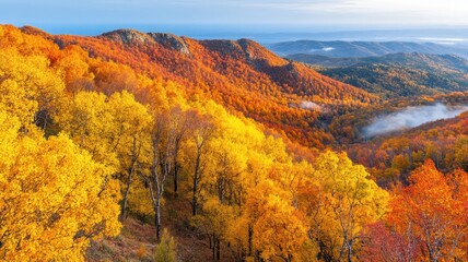 Fototapeta premium Panoramic landscape of forest hills in peak autumn with vibrant foliage transitioning from golden yellow to deep red