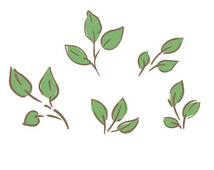 Green Botanical Leaves Illustration Hand Drawn Vector
