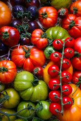 Top view on ripe tomatoes different kind and colors close up. Mix of multicolored kind of tomato background
