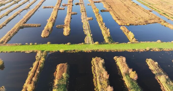 Aerial view of narrow canals in nature reserve Rottige Meente, creating a mosaic of dark water contrasting with green and brown vegetation, Weststellingwerf, Friesland, Netherlands.