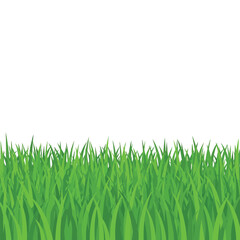 Fototapeta premium Lush Green Grass Blades Nature Border Illustration.
