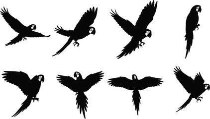 Obraz premium Elegant macaw parrot silhouettes in dynamic flight poses for striking design elements and creative projects