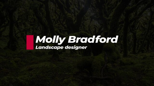 Creative Lower Third 05