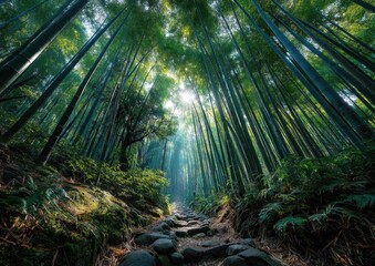 A serene path weaves through a dense bamboo grove, where sunlight streams down, illuminating the lush greenery and casting gentle shadows on the ground, creating a tranquil atmosphere