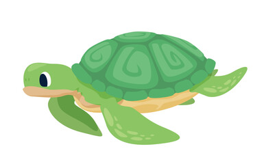 Illustration of cartoon sea turtle isolated on white background in colorful vector design illustrating aquatic life.