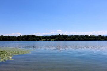See in Freiburg-Opfingen im Sommer