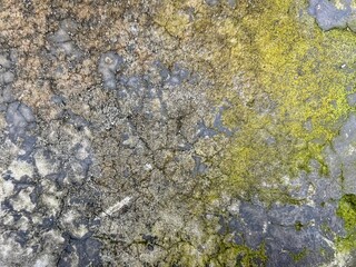 A textured surface of weathered concrete or asphalt with vibrant green moss and cracks, creating a natural grunge aesthetic. Ideal as an organic background or for conveying age and decay in design.