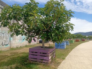 Fototapety na wymiar - Fototapeta24.pl