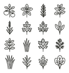 Herb garden icon collection. simple linear basil, parsley, rosemary, mint, thyme vector icons.