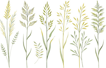 Obraz premium Watercolor botanical illustrations of twenty grasses and shrubs in muted tones, arranged in a clean grid on a white background