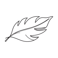 Simple black line art feather illustration on white background, minimalist nature design element.