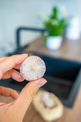 Female hand holding unpeeled Chinese single clove garlic. Fresh cooking ingredient, natural seasoning, and culinary preparation.