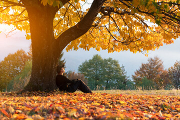Man sits alone under orange cherry tree in autumn meadow at sunset. Vibrant fall scene with warm...