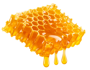  Diagonal Honeycomb Piece with Amber Honey Stream, Side Angle Composition, Isolated