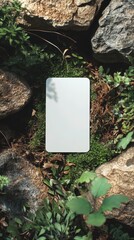 Blank Vertical Tarot Card on Moss Surrounded by Rocks in Nature