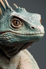 Fototapeta premium A close-up of a blue lizard with an ancient appearance, featuring spikes on its head and a detailed body texture. This reptile is part of the Iguana genus and is known for its distinctive features.