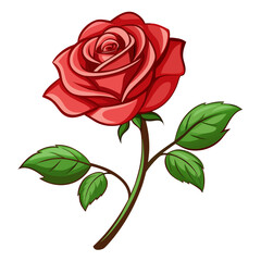 Obraz premium red rose isolated on white background
