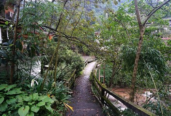 bridge over the river