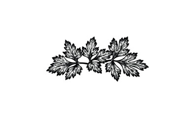 Intricate black and white leaf pattern design with detailed veins. Vector retro hand drawn illustration.