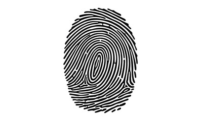 Detailed black fingerprint pattern on white background for biometric design. Vector retro hand drawn illustration.